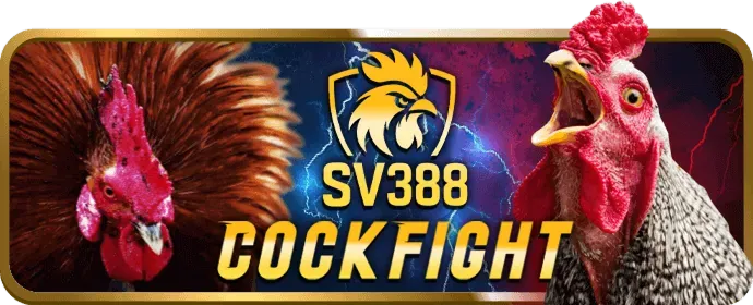 Đội ngũ hỗ trợ chuyên nghiệp của win1 casino