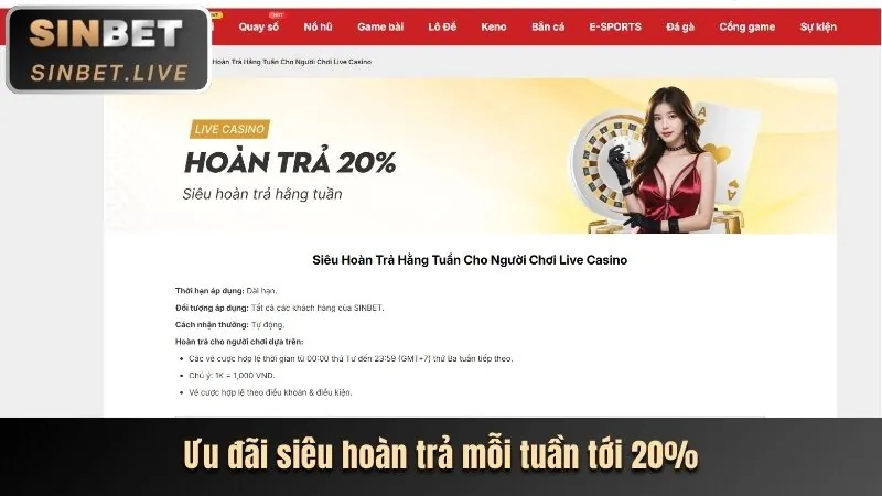 Lịch sử và uy tín của Win1 Casino